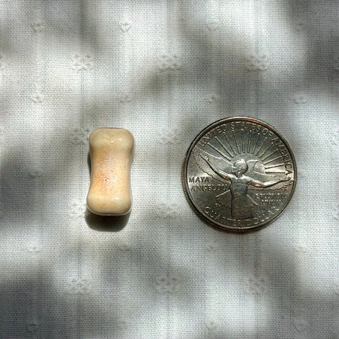 Realistic Ceramic Bone Beads