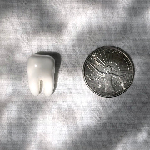 Ceramic Tooth Beads