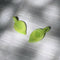 Handmade Glass Leaf Pendant