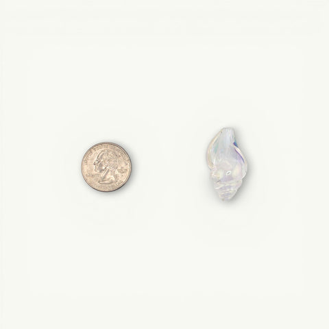 Holographic Shell Beads